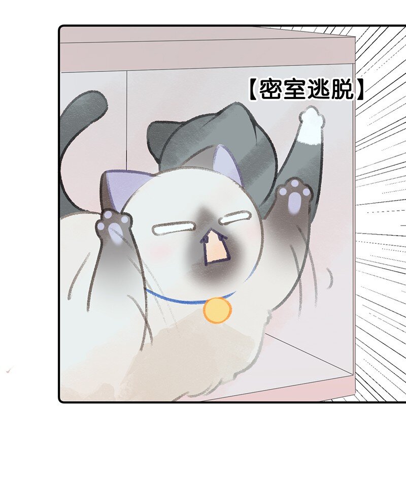 22 团建是密室逃脱和野外求生？-第24话