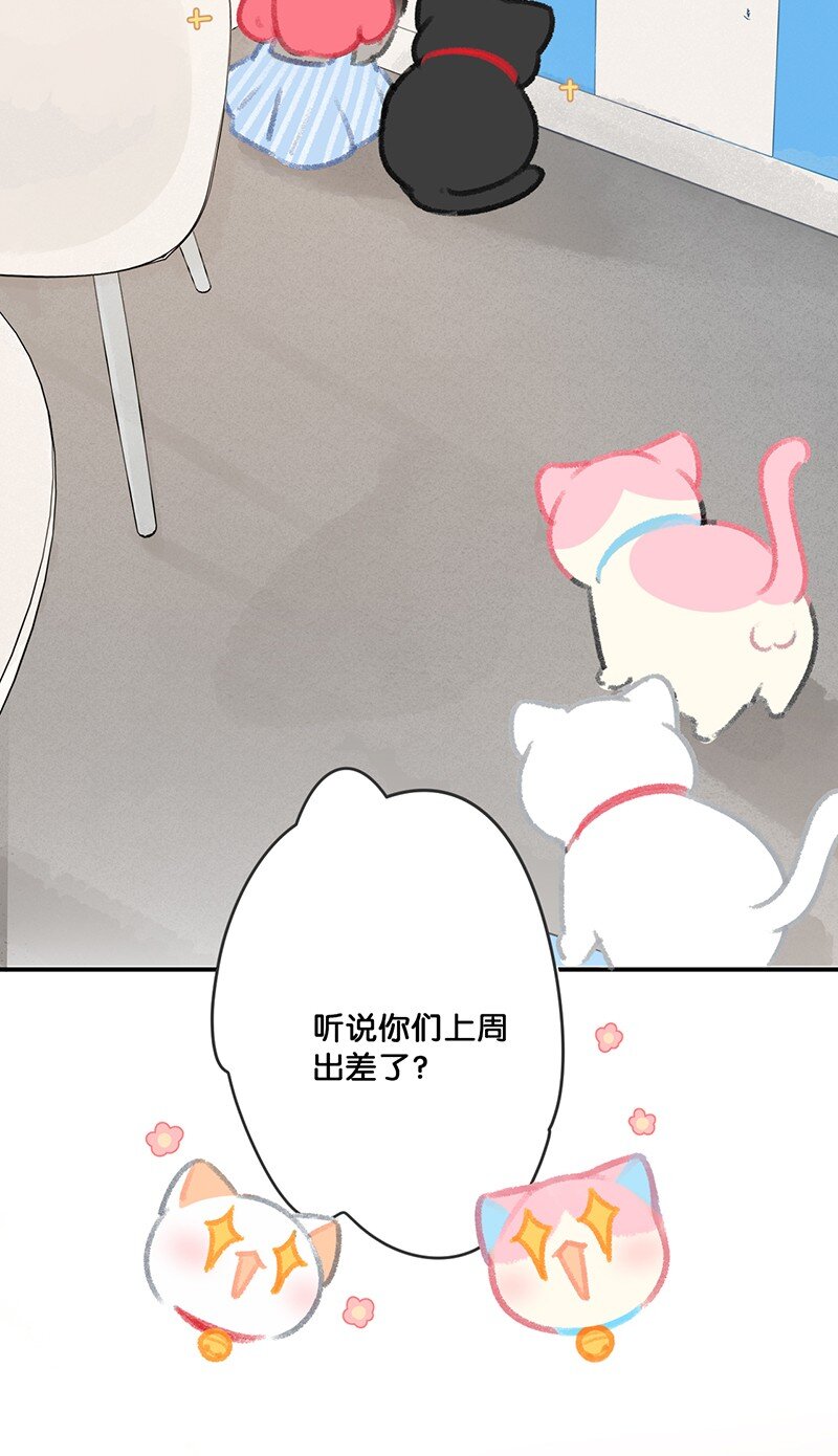 22 团建是密室逃脱和野外求生？-第24话