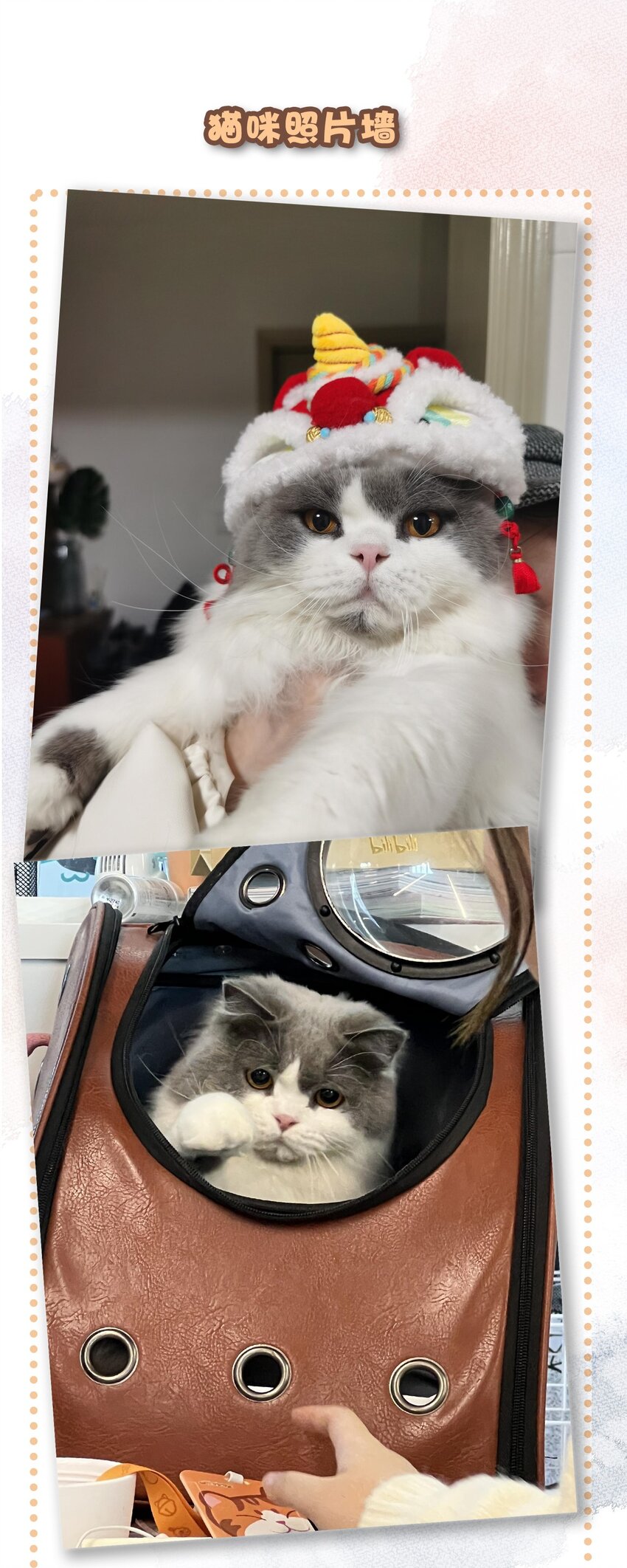 22 团建是密室逃脱和野外求生？-第24话