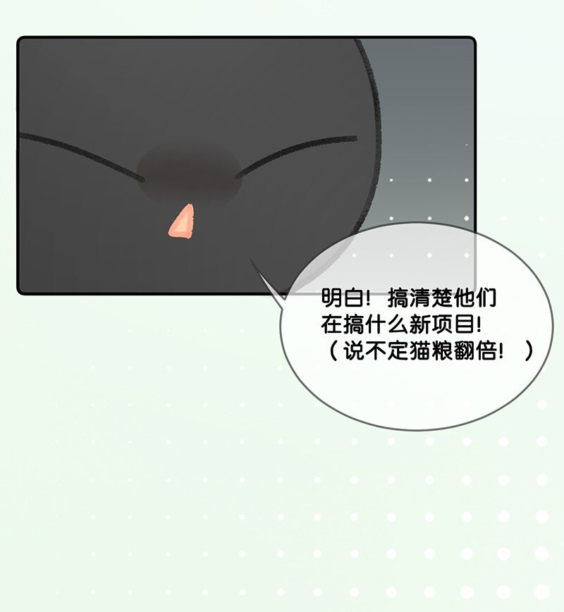 22 团建是密室逃脱和野外求生？-第24话