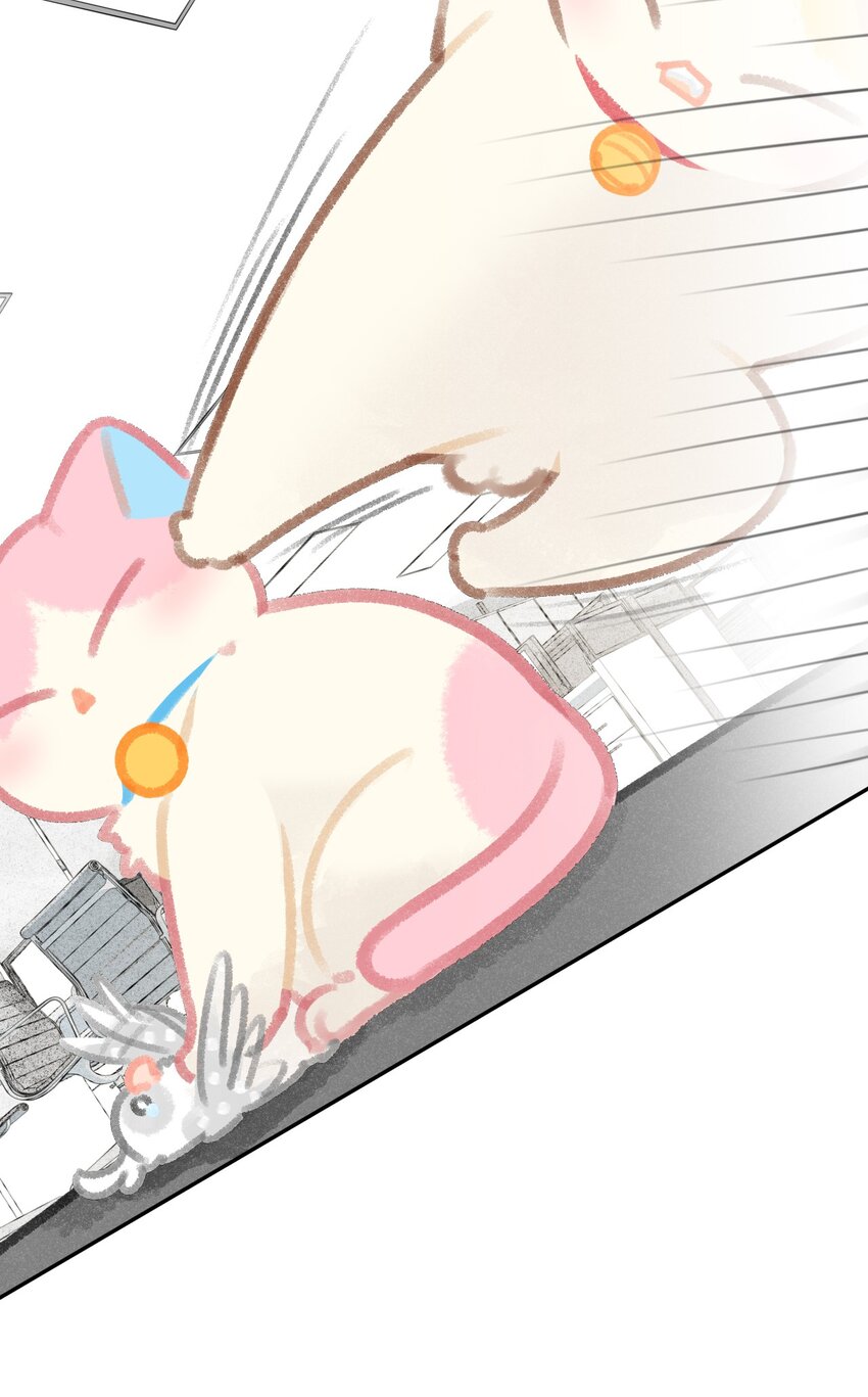 24 新员工在橘总头上拉屎？！-第26话