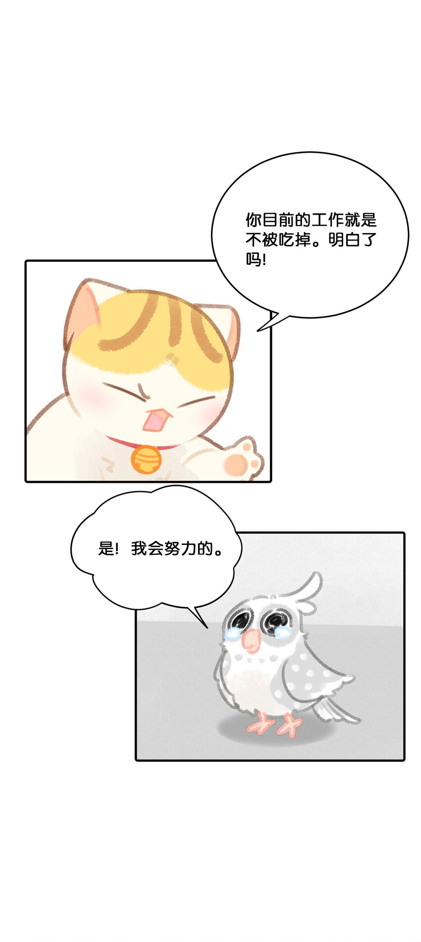 24 新员工在橘总头上拉屎？！-第26话