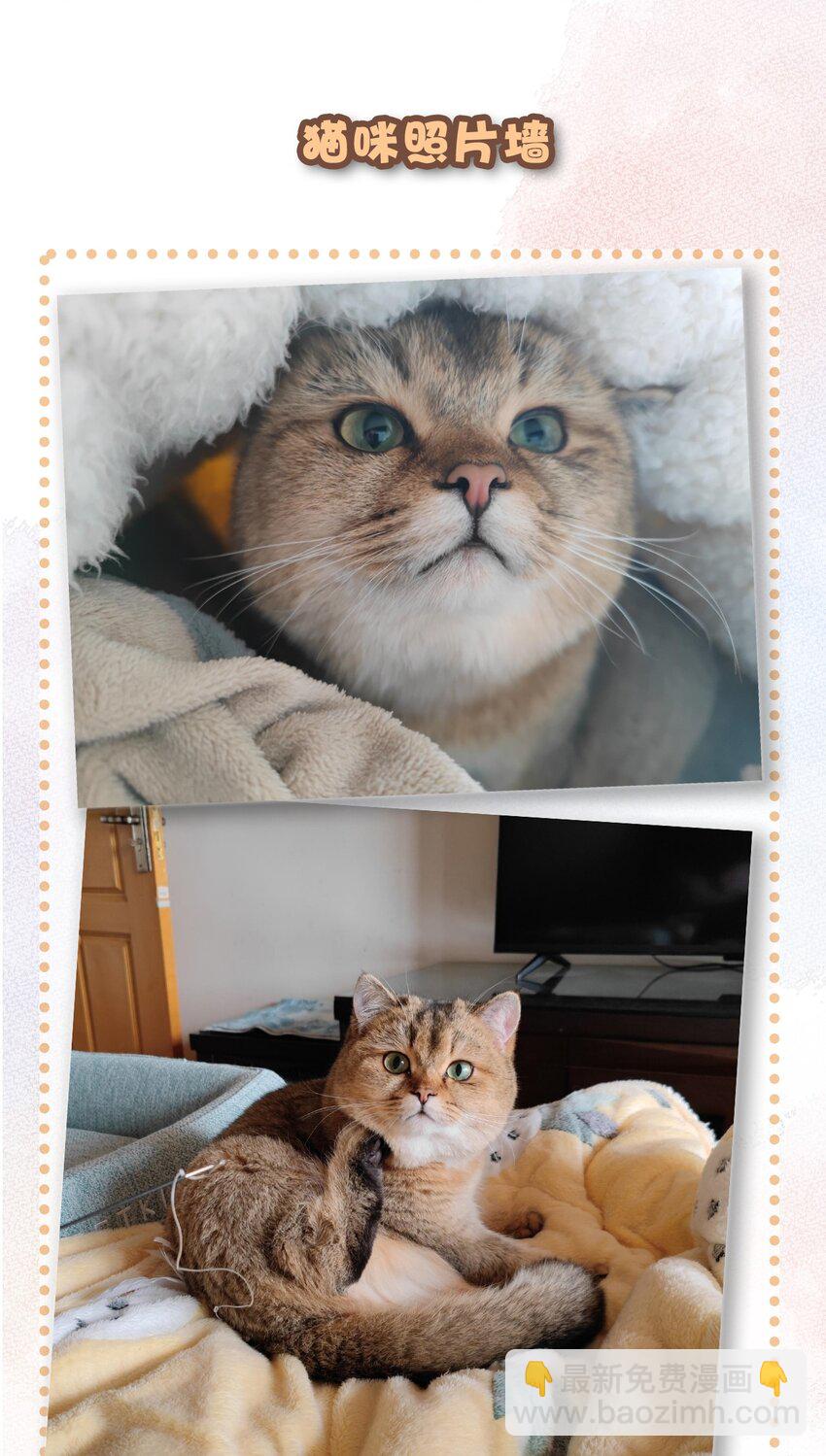 24 新员工在橘总头上拉屎？！-第26话