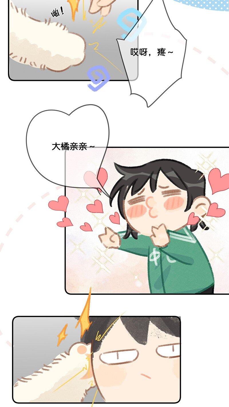 27 十万伏特喵！-第30话