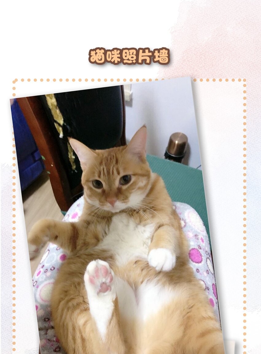 27 十万伏特喵！-第30话