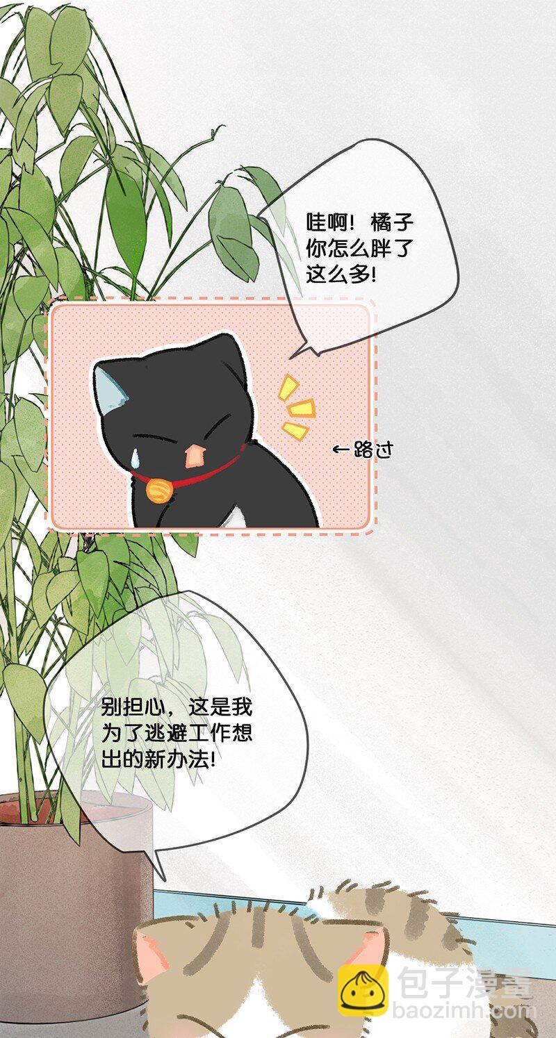 27 十万伏特喵！-第30话