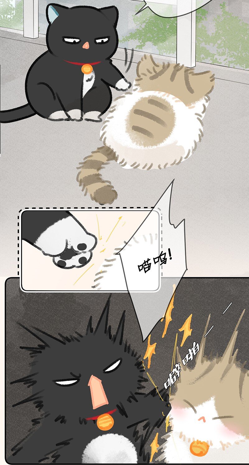 27 十万伏特喵！-第30话