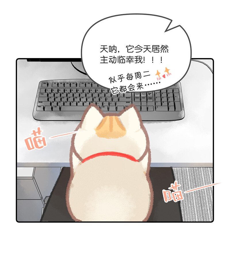 03 本喵工作的理由-第4话