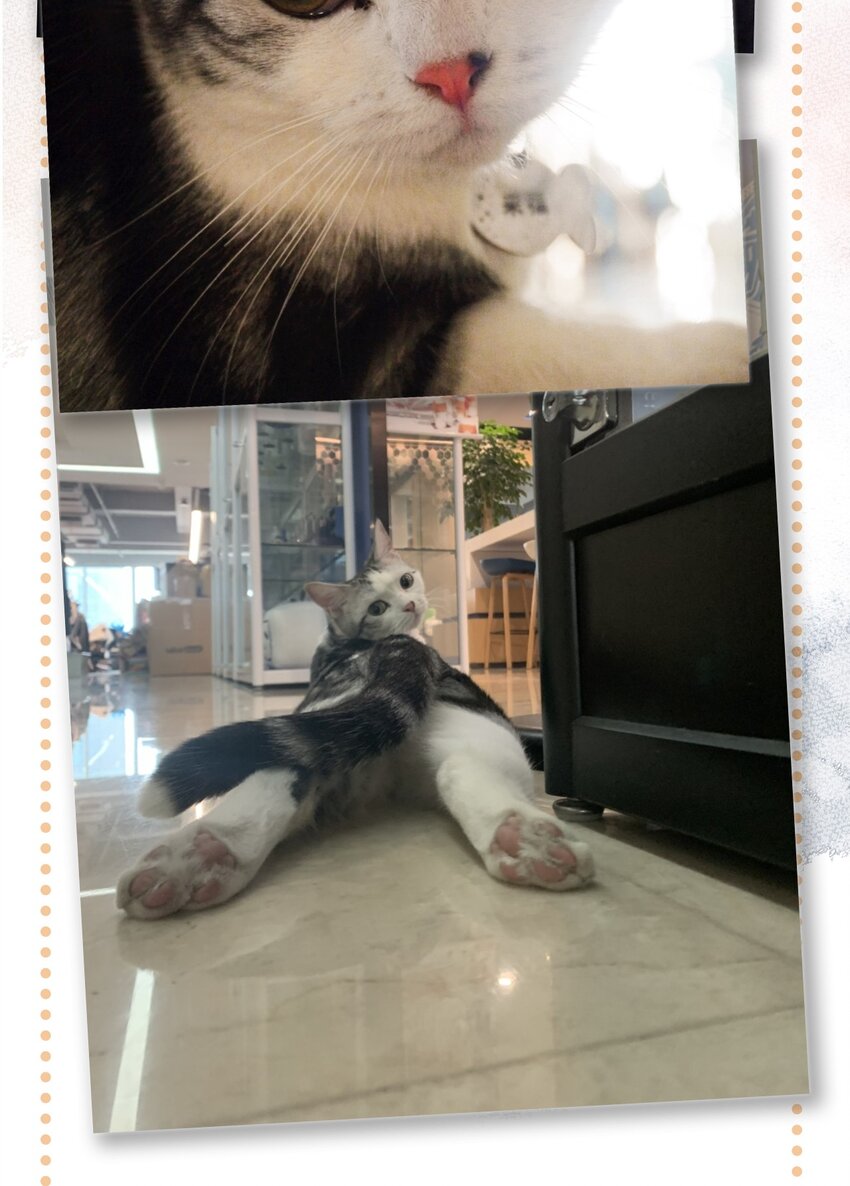 29 内卷之王王中王-第32话