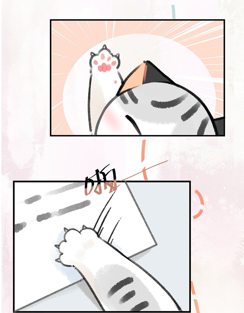 39 喵爪开花的办法！-第42话