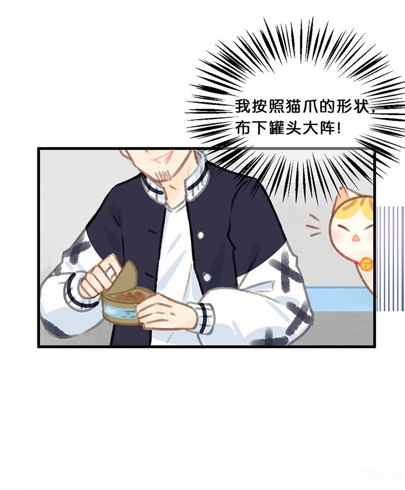 39 喵爪开花的办法！-第42话