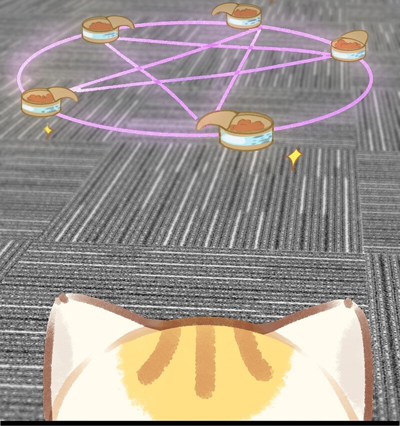 39 喵爪开花的办法！-第42话