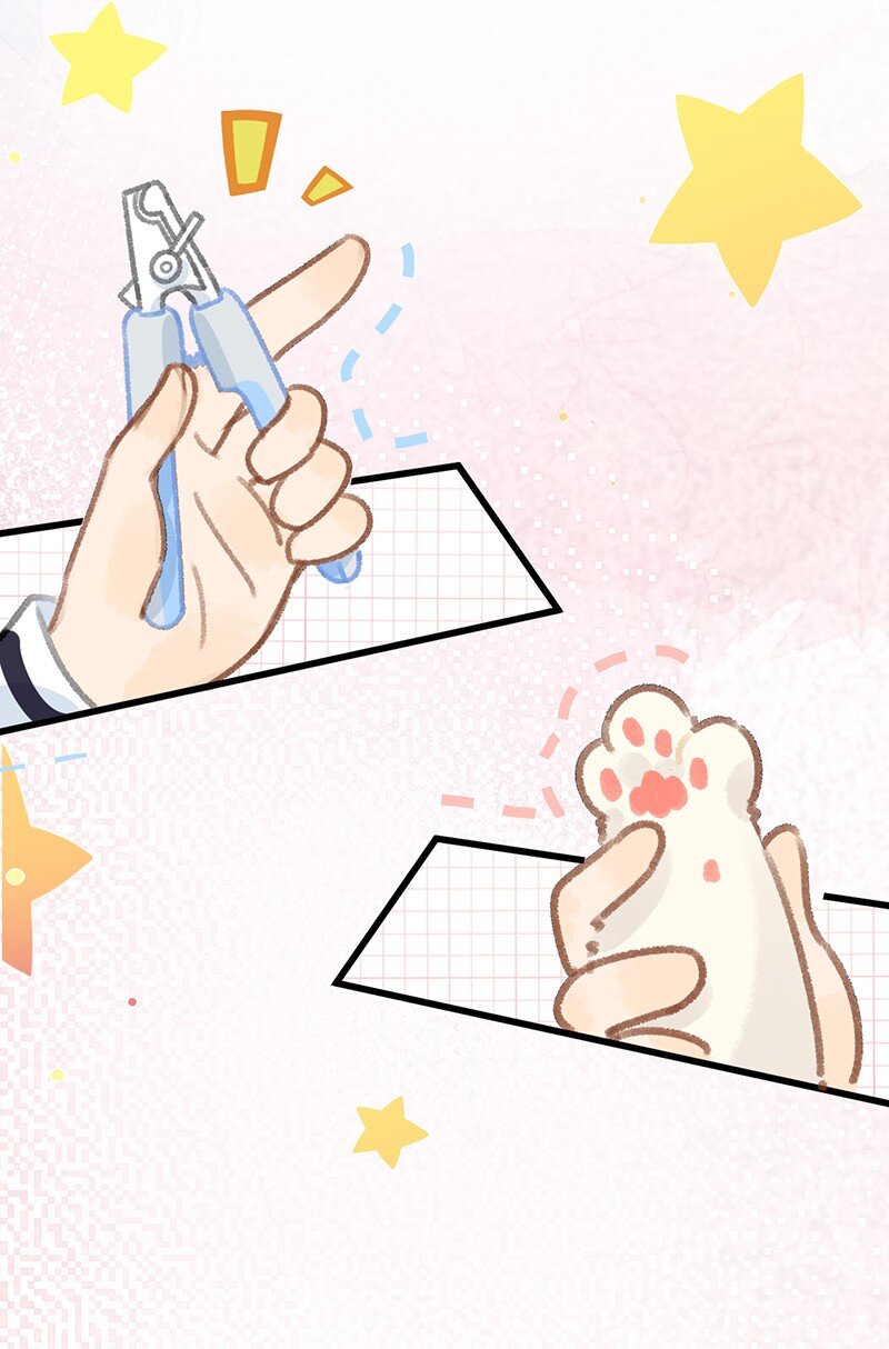 39 喵爪开花的办法！-第42话