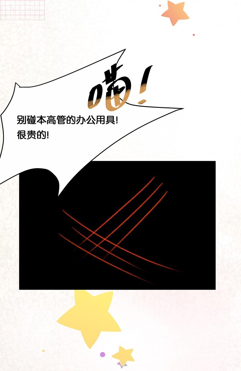 39 喵爪开花的办法！-第42话