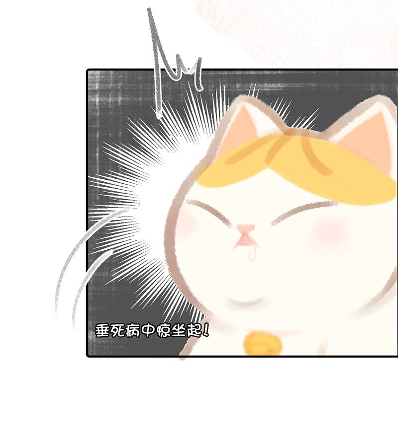 07 减肥是不可能减肥的！-第8话