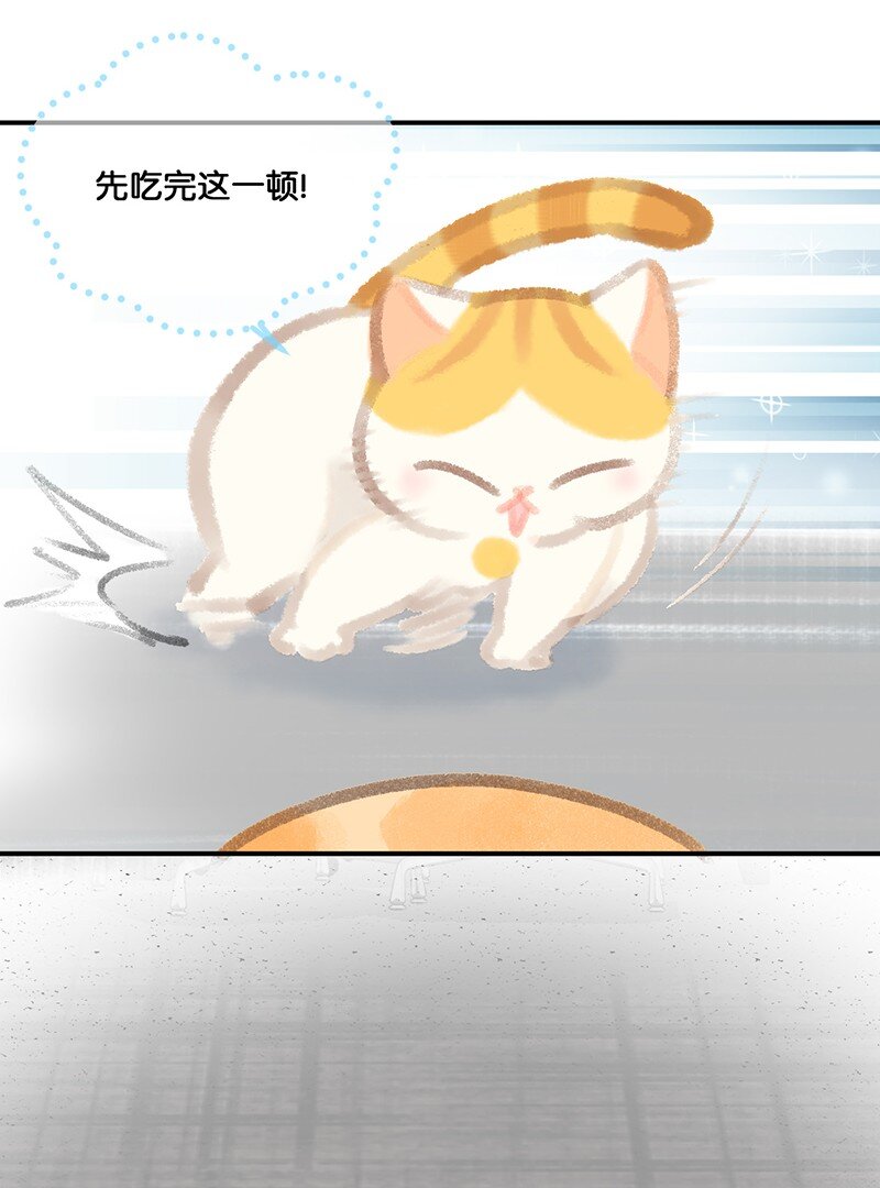 07 减肥是不可能减肥的！-第8话