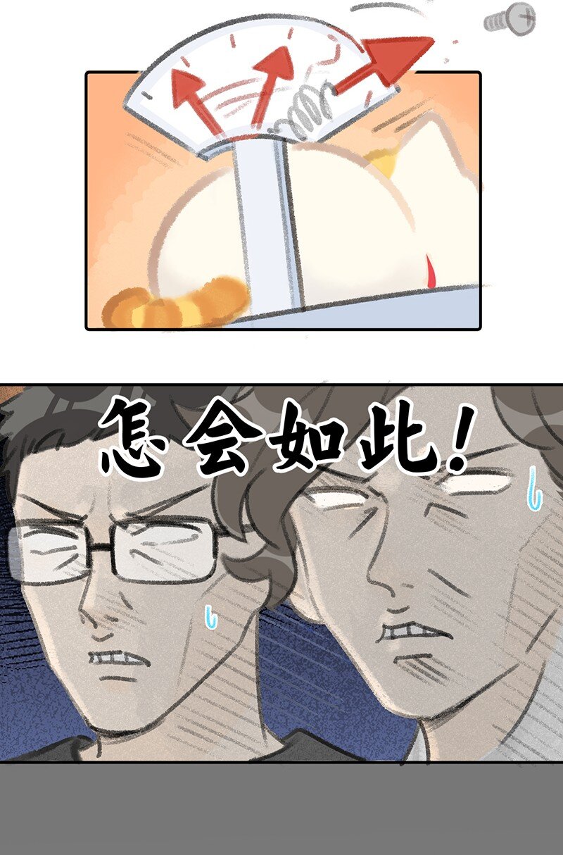 07 减肥是不可能减肥的！-第8话