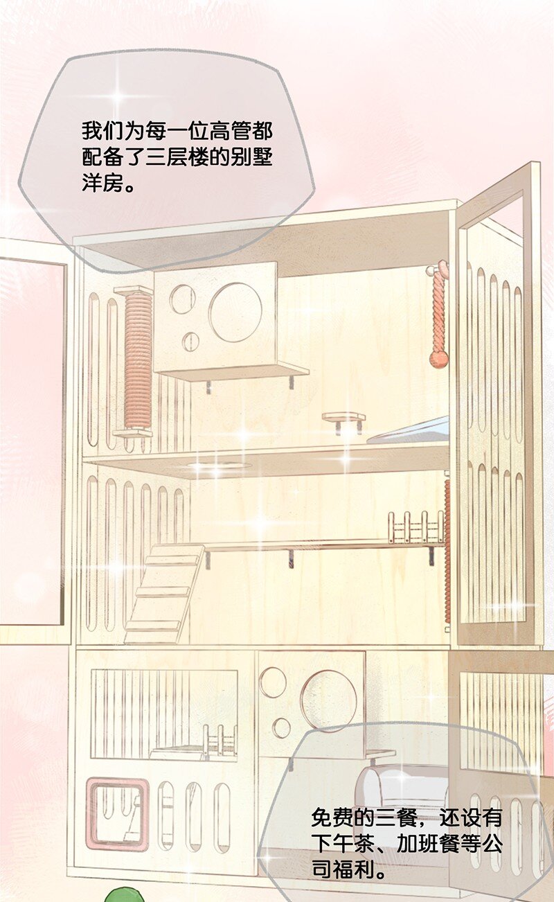 09 新&ldquo;高管&rdquo;入职&hellip;&hellip;？-第10话
