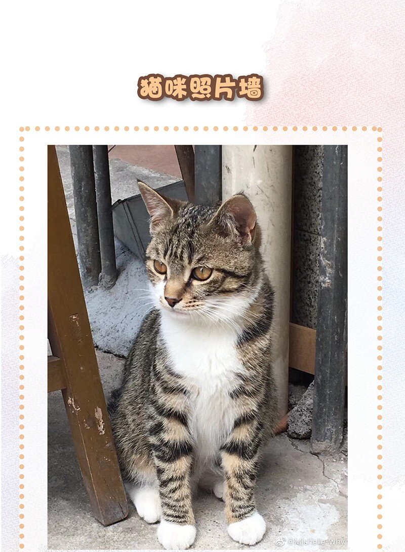 09 新&ldquo;高管&rdquo;入职&hellip;&hellip;？-第10话