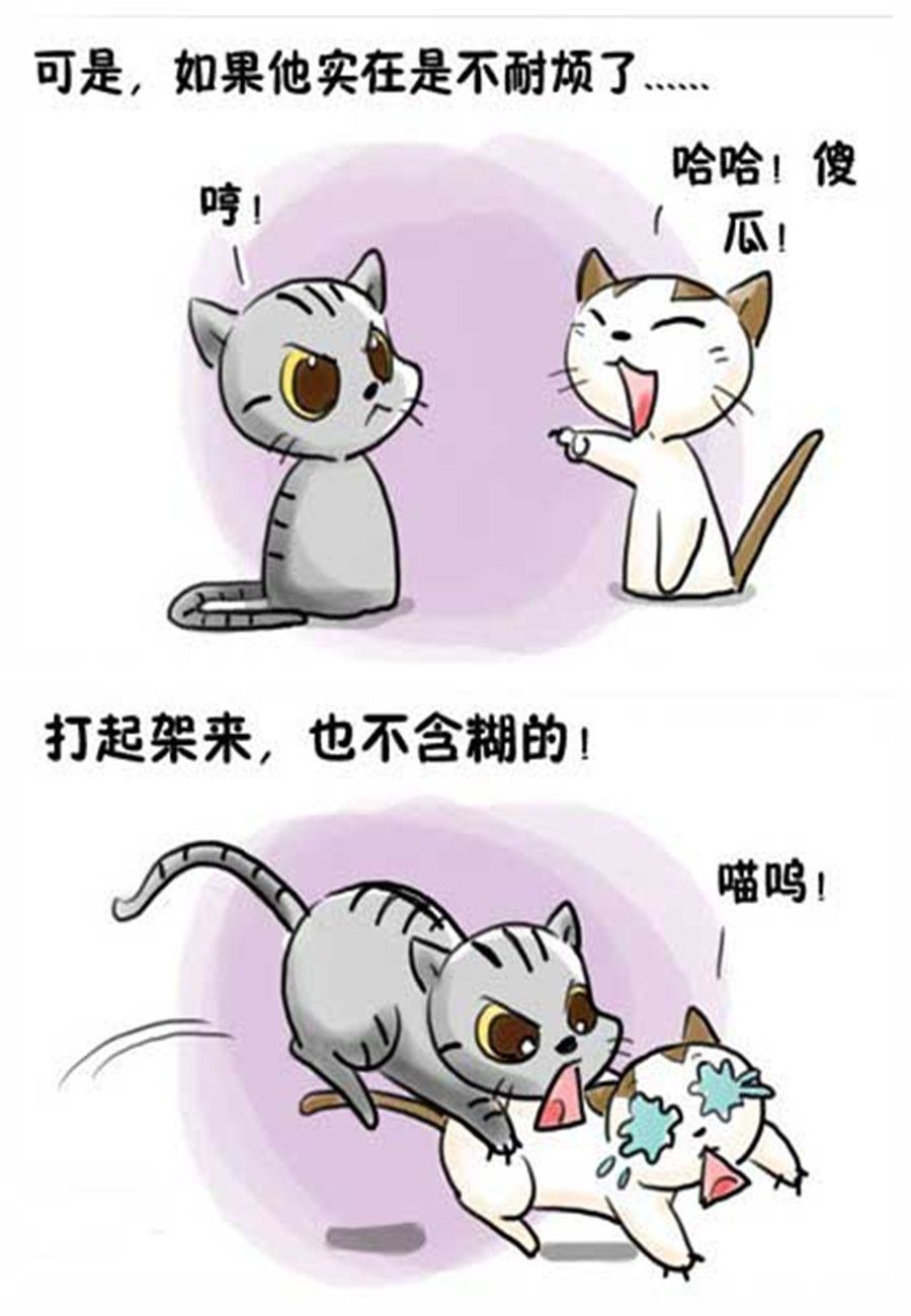 喵喵家族 第12集-第12话