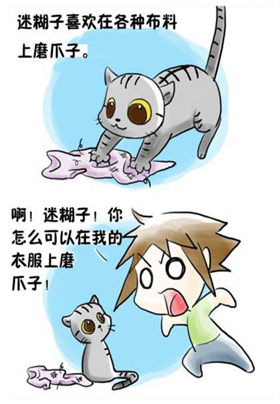 喵喵家族 第12集-第12话