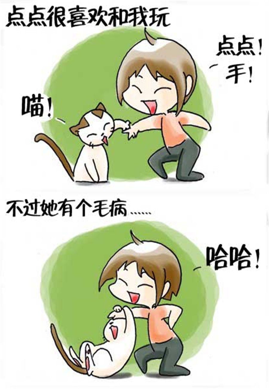 喵喵家族 第26集-第26话