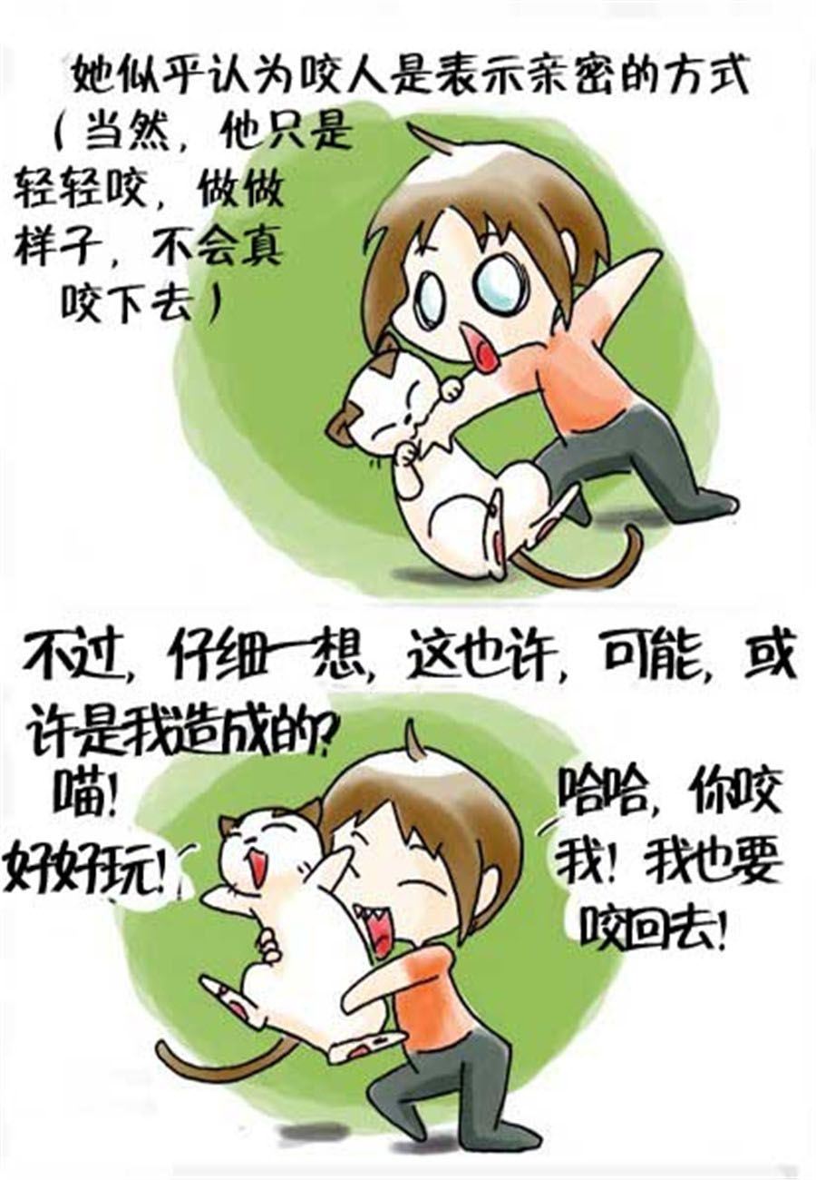 喵喵家族 第26集-第26话