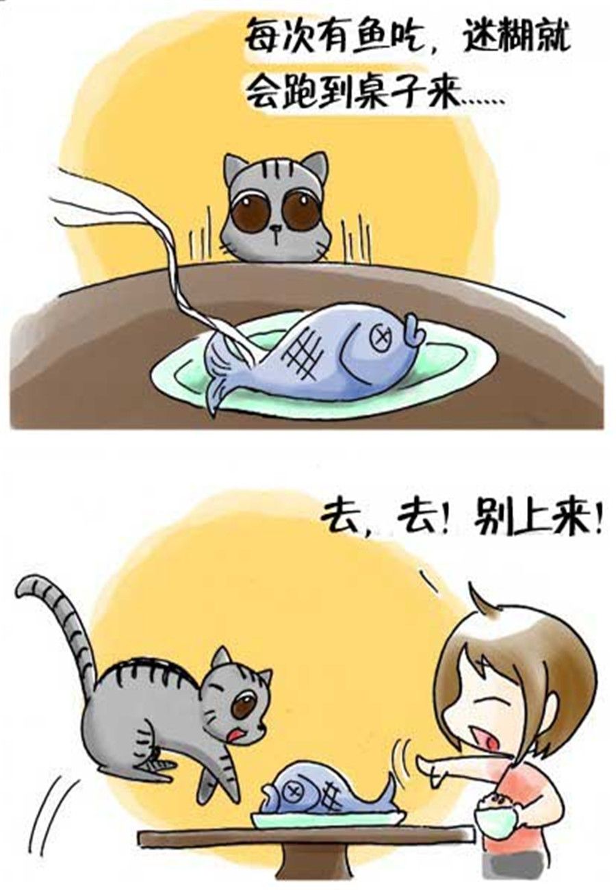 喵喵家族 第26集-第26话