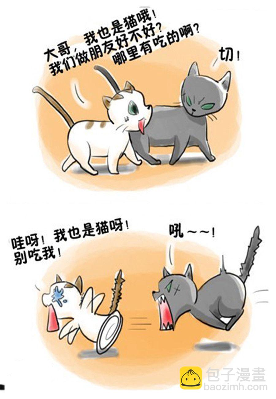 喵喵家族 - 喵喵家族 第8集 - 1