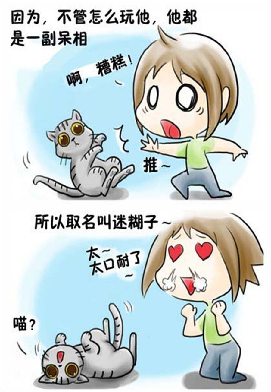 喵喵家族 第10集-第10话