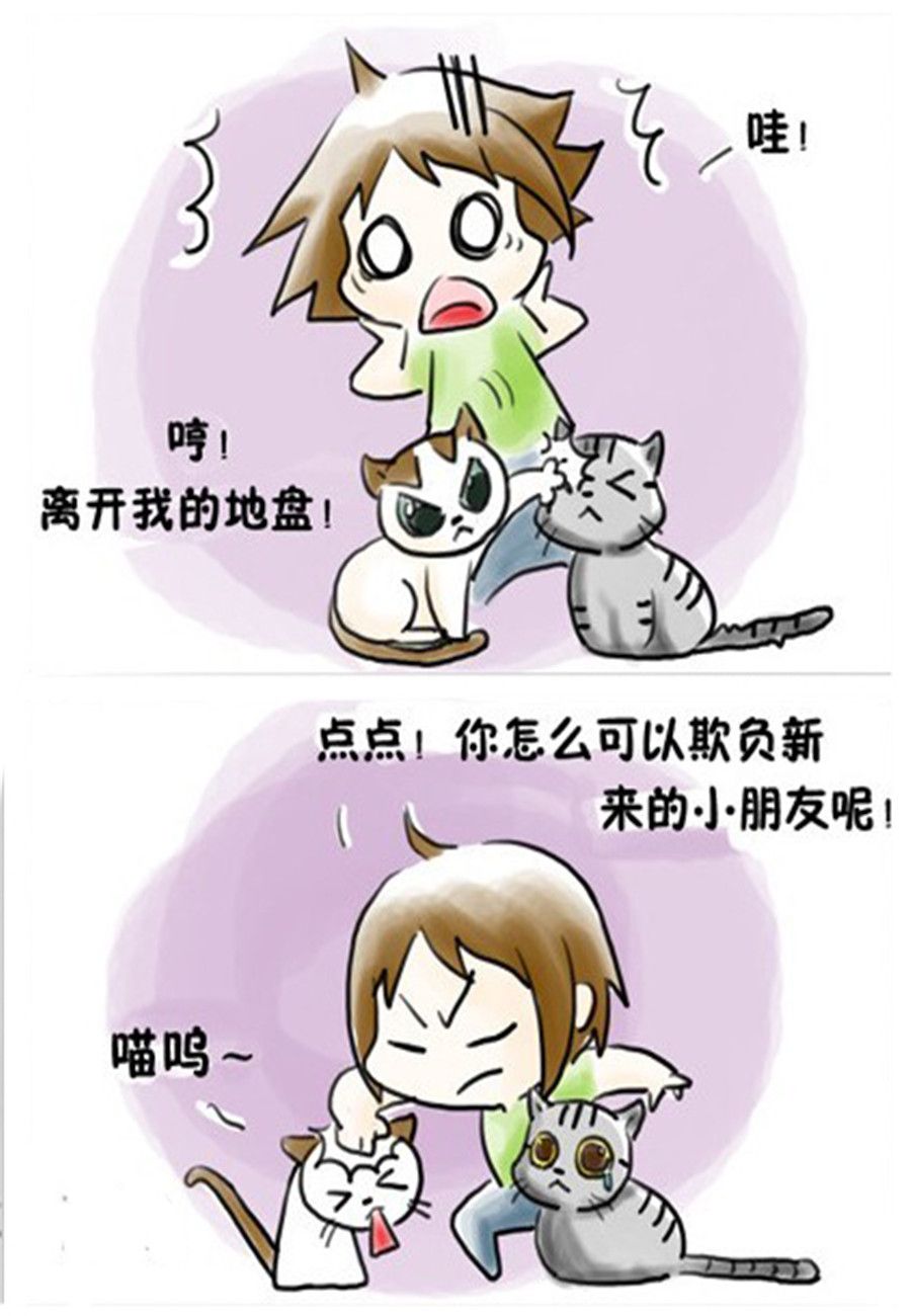 喵喵家族 第10集-第10话