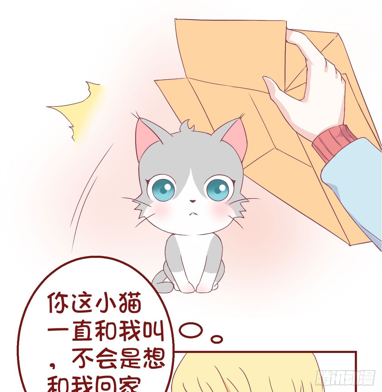 喵聲入夏 - O1.我有了一隻貓！ - 2