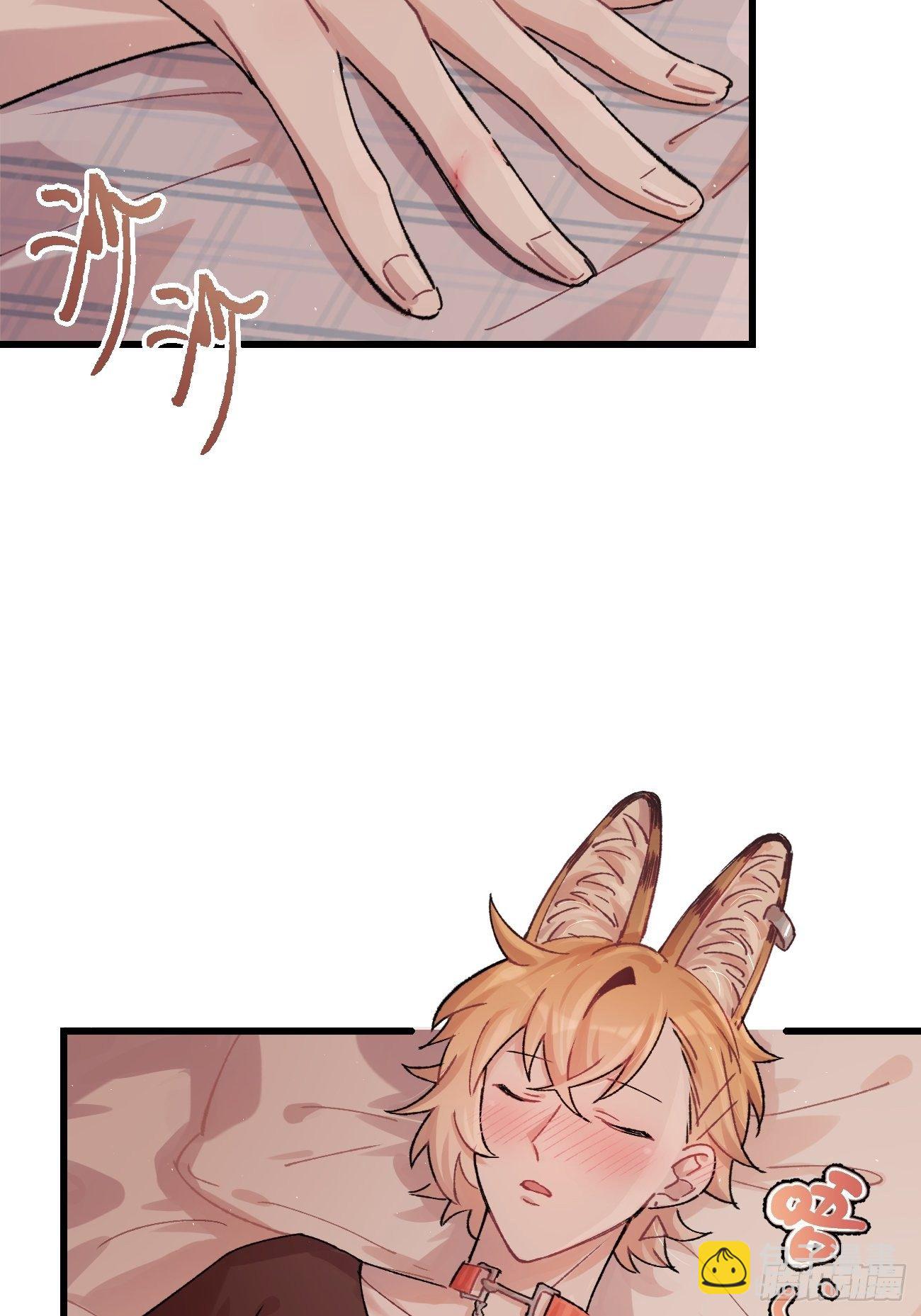 喵與喵薄荷 - ◆11話◆ 唦啦唦啦 - 5