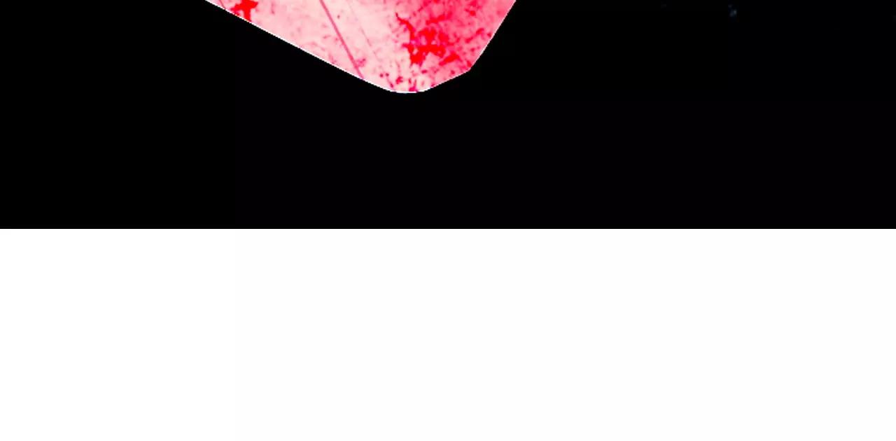 名花無草——《名花有草》續篇 - 第三季第41話 美人計(3/3) - 4