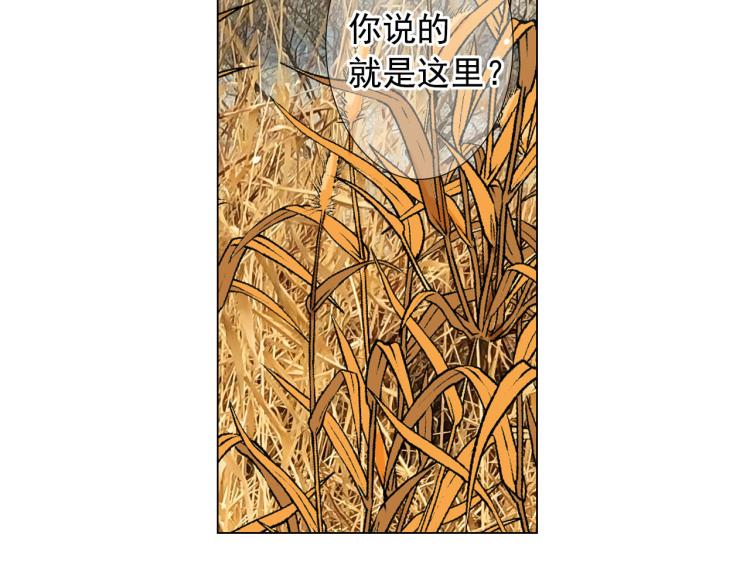 名花無草——《名花有草》續篇 - 第22話 險象環生(3/4) - 3