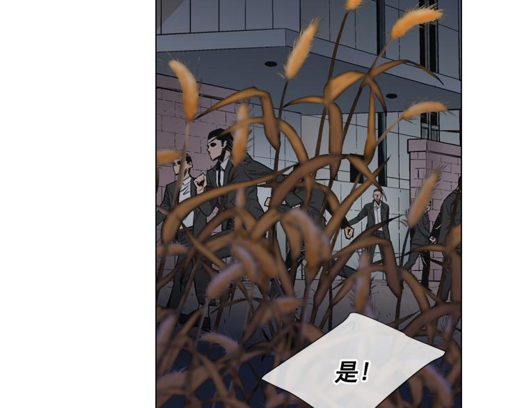 名花無草——《名花有草》續篇 - 第24話 營救！夜闖敵營(3/4) - 2