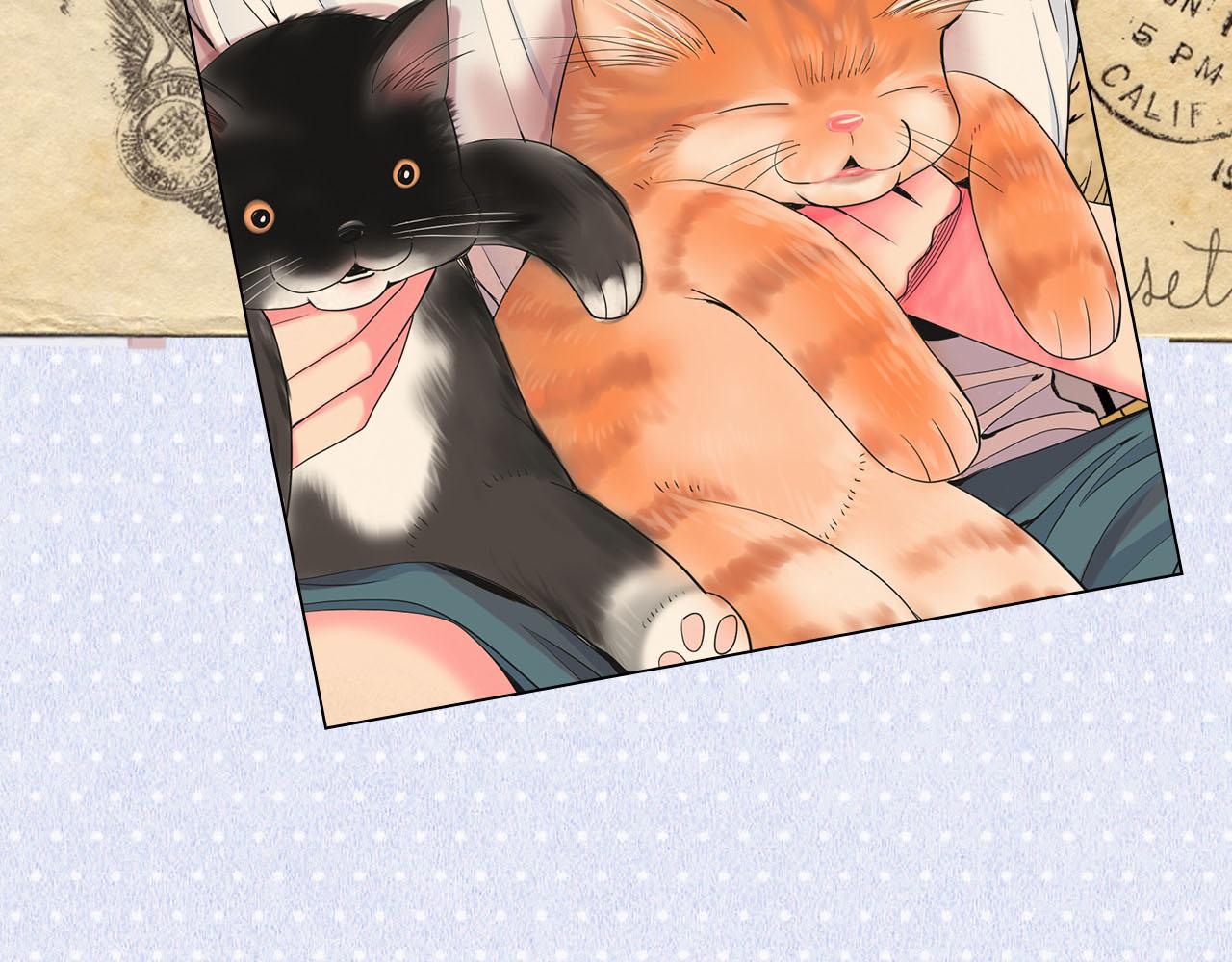 名花無草——《名花有草》續篇 - 第32話 塵埃落地(4/5) - 4