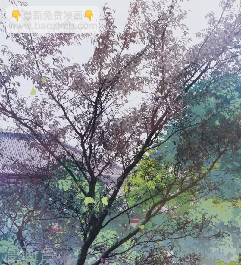 第126话 擂台3-第170话