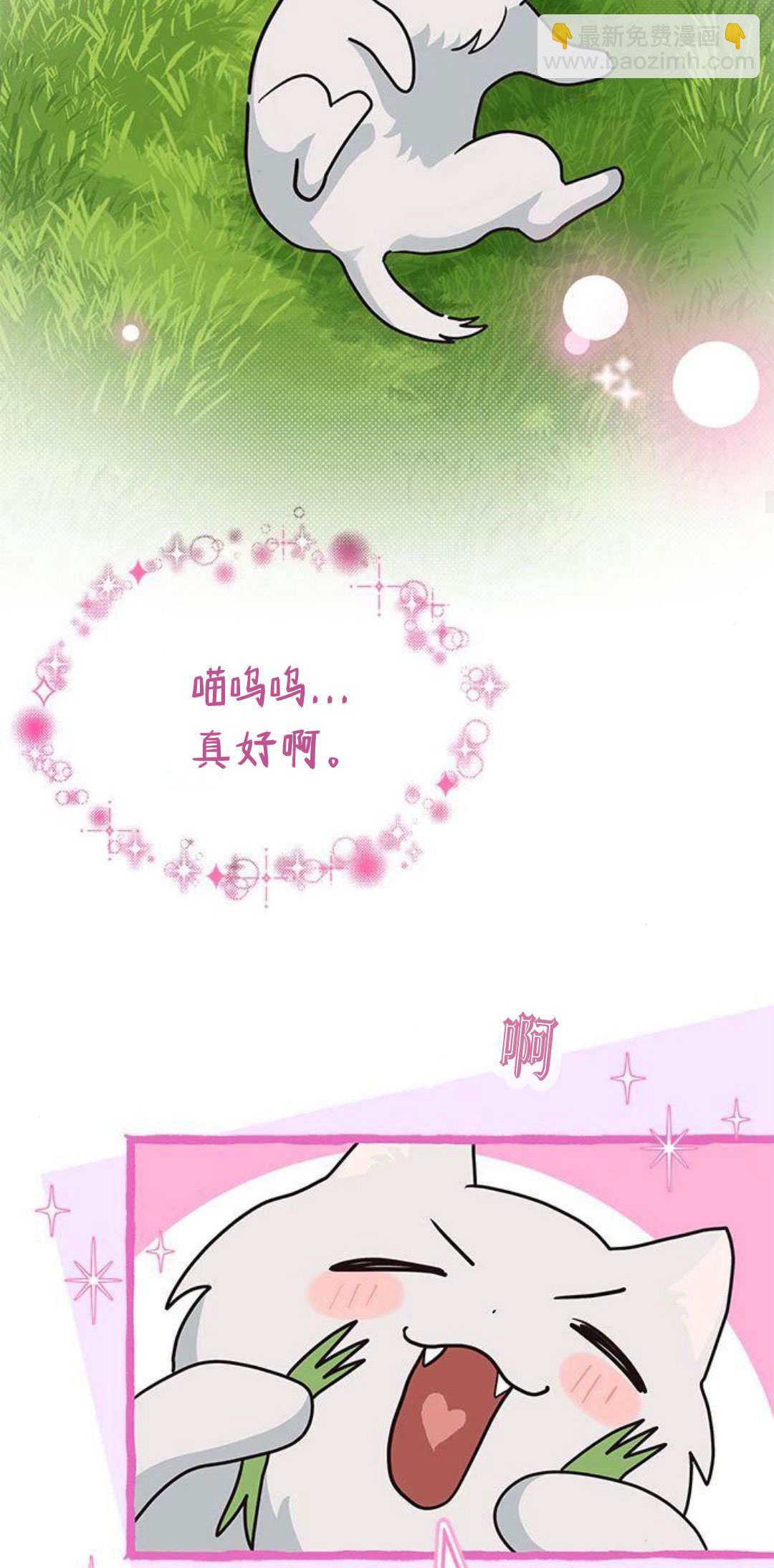 明明是貓，卻被狼族收養了？ - 第24話(1/2) - 2