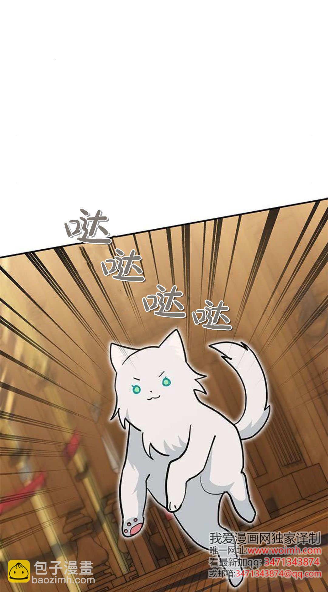 明明是貓，卻被狼族收養了？ - 第50話(1/2) - 8