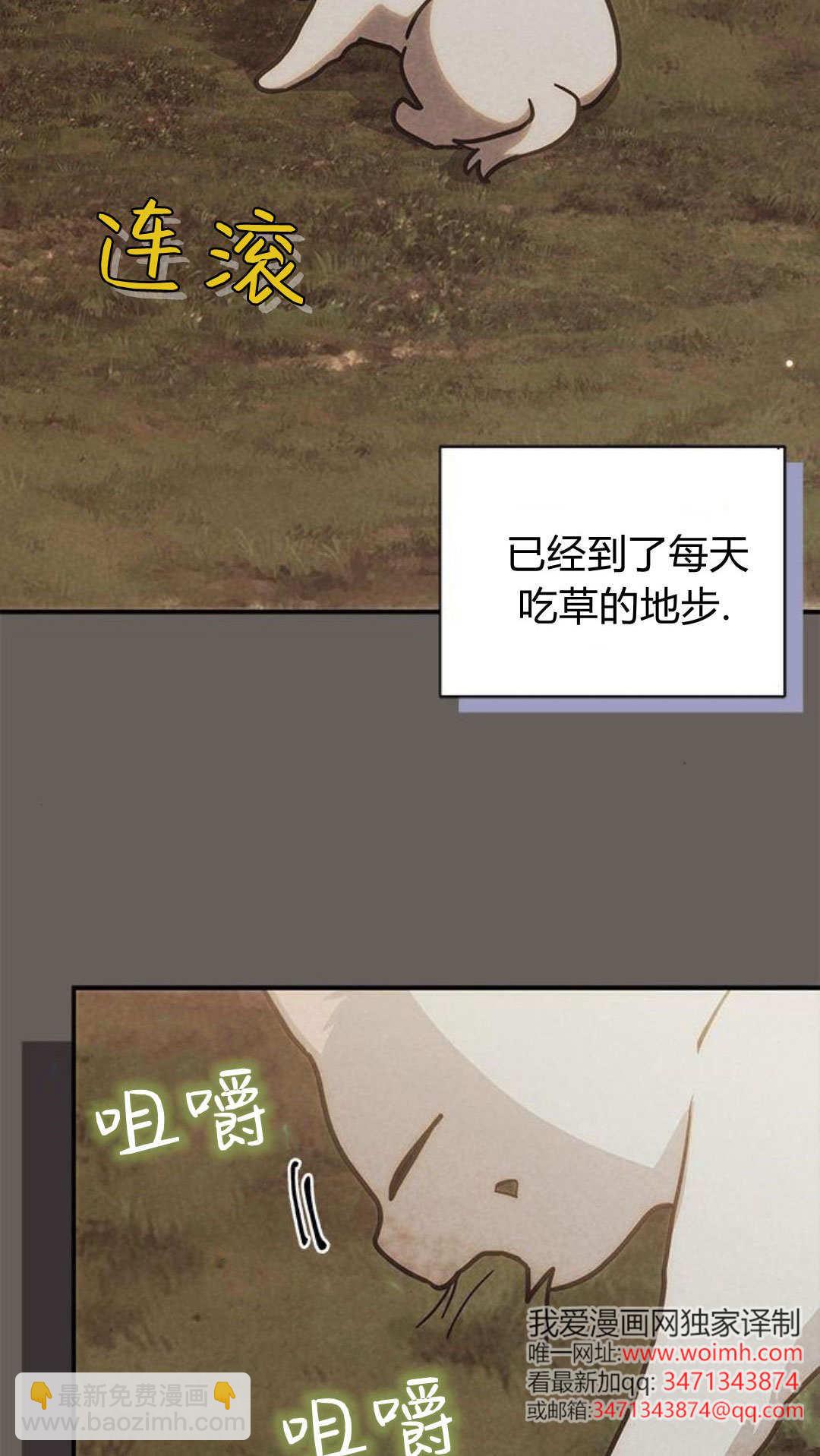 明明是貓，卻被狼族收養了？ - 第66話(1/2) - 8