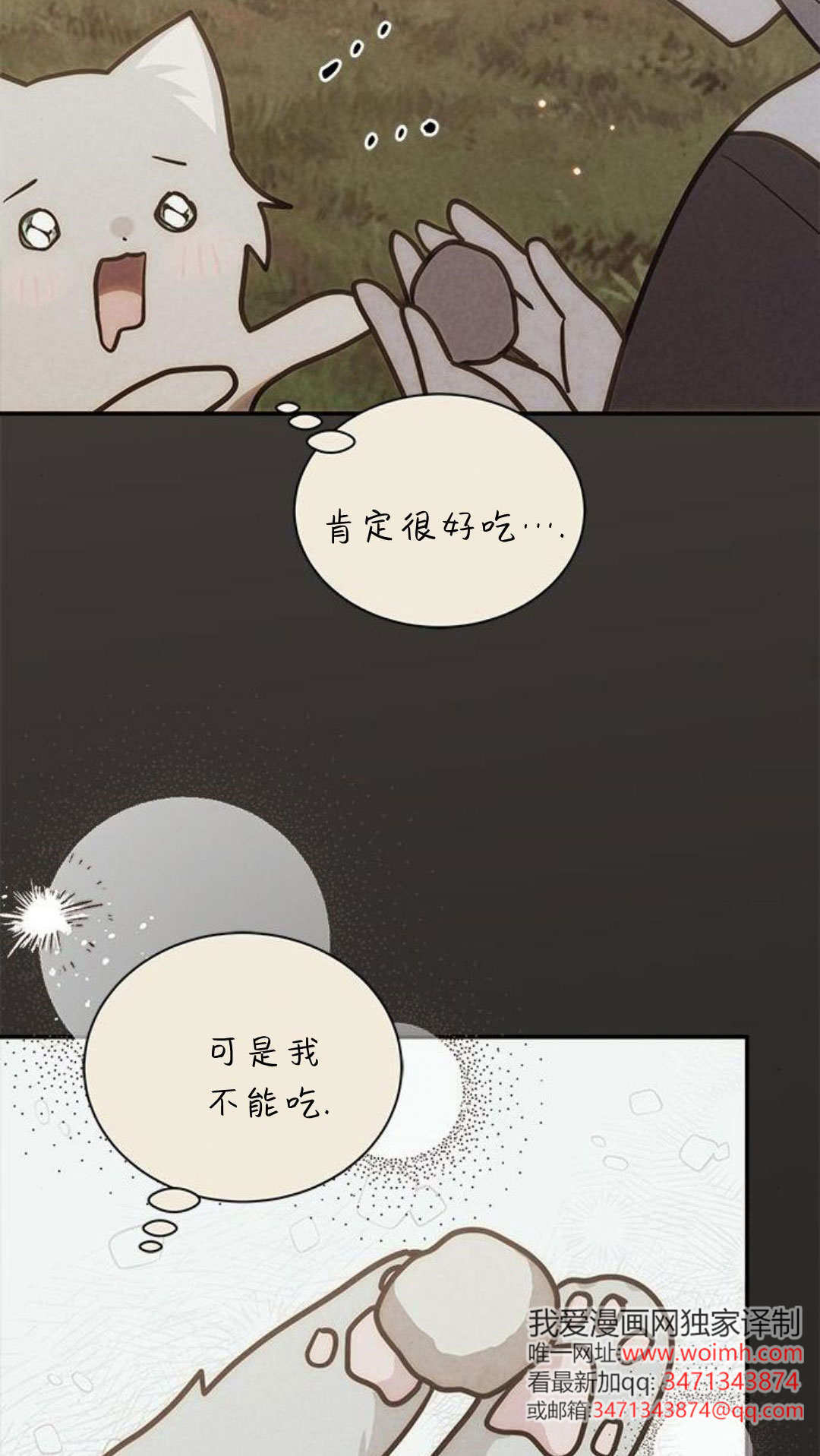 明明是貓，卻被狼族收養了？ - 第66話(1/2) - 3
