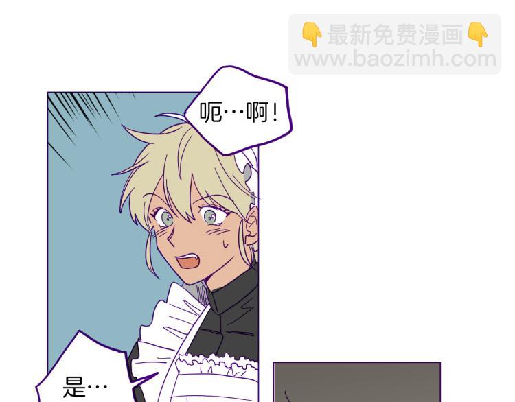 第1话 神秘的夫人(1/2)-第2话