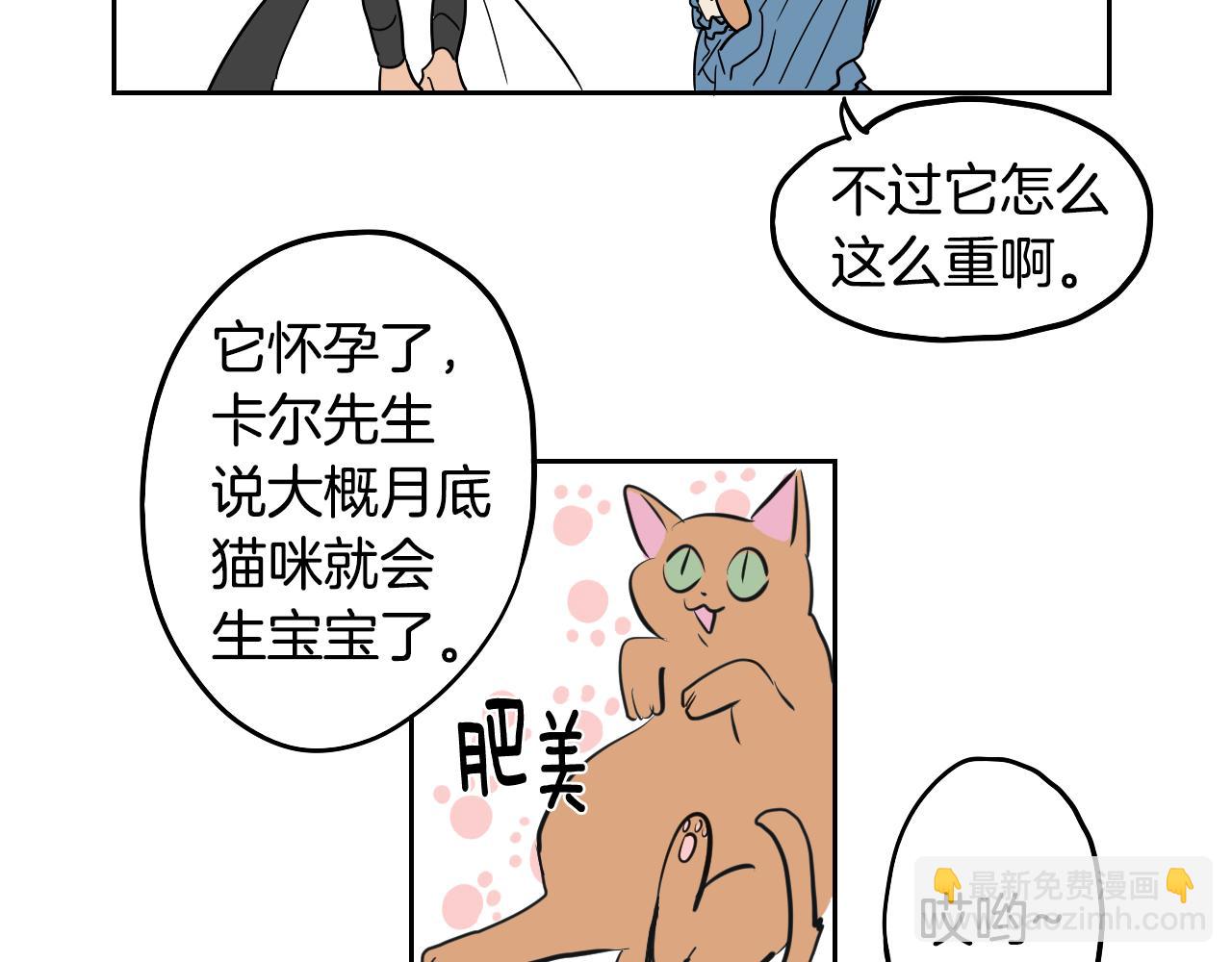 第21话 归乡(1/2)-第22话