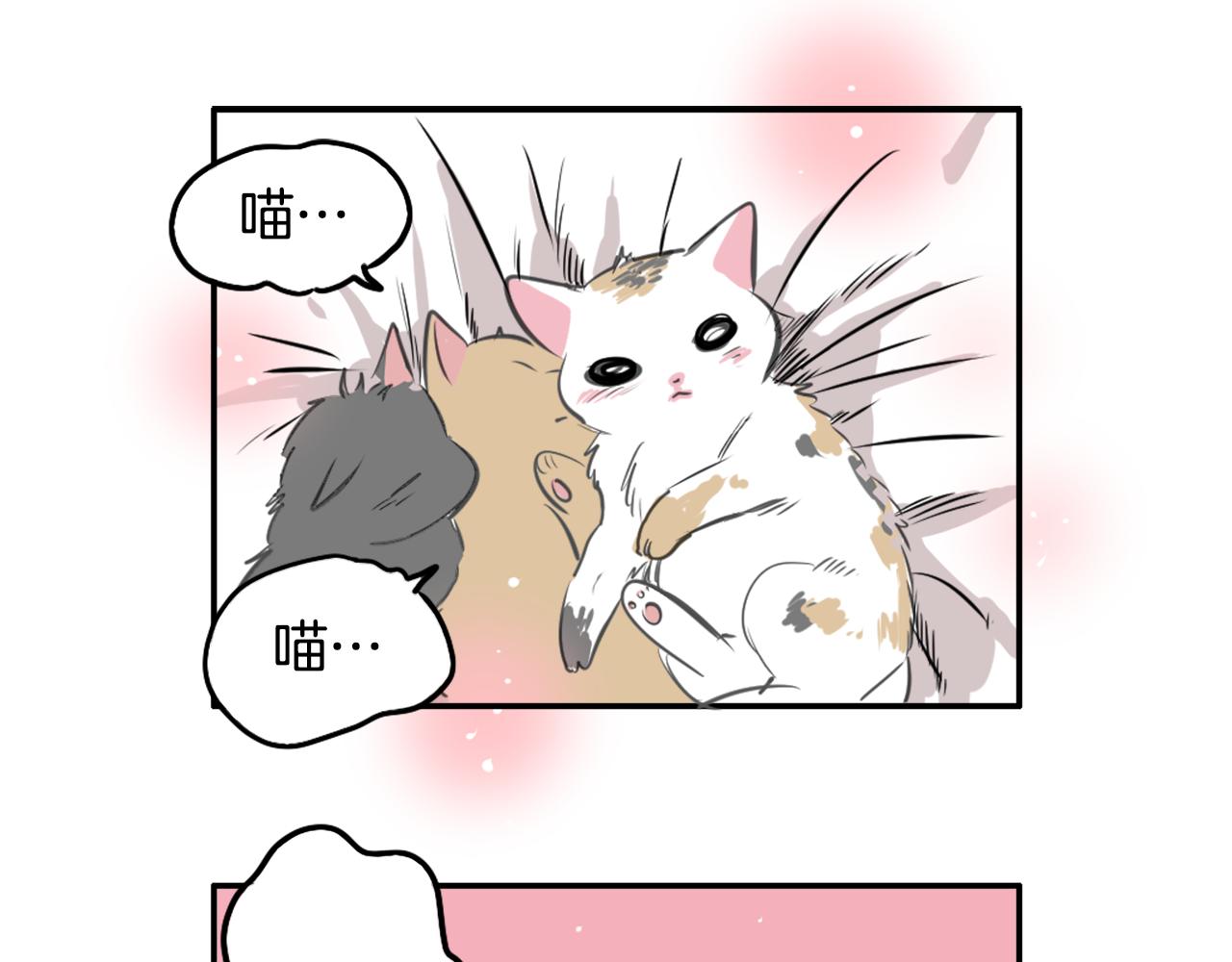 第25话 回归(1/2)-第26话