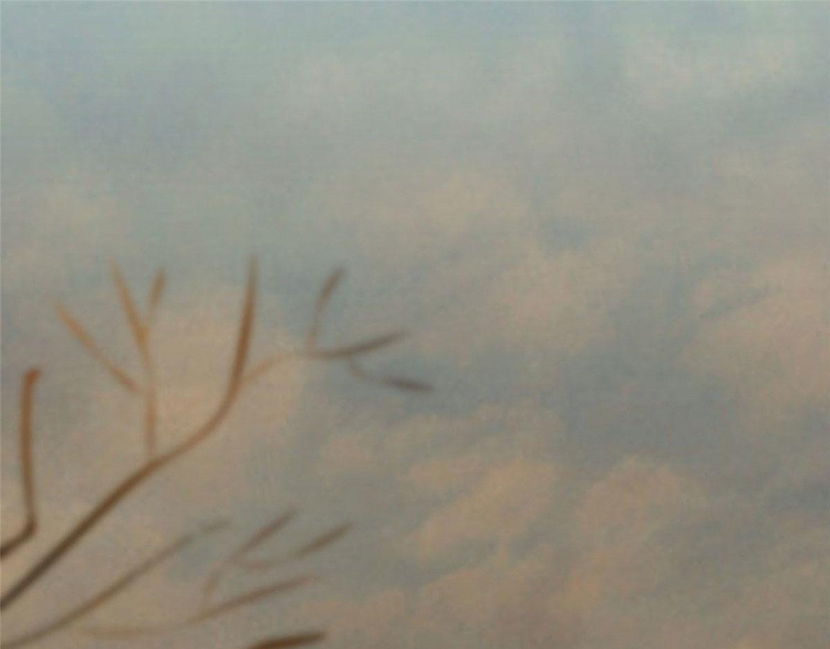 第八十五话(1/2)-第86话