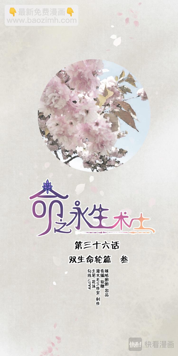 命之永生术士 - 第36话 双生命轮篇03 - 3