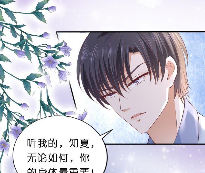 岁月静好(1/2)-第256话