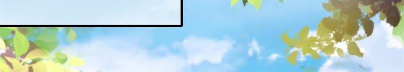 岁月静好(1/2)-第256话