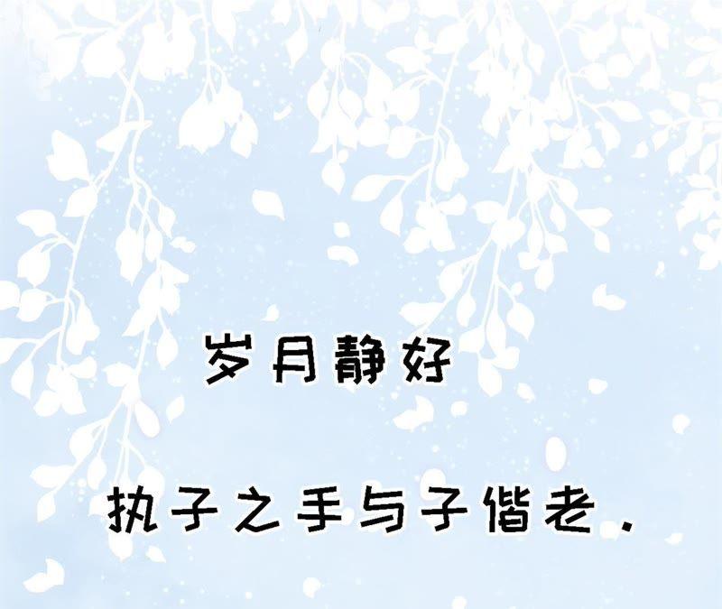 岁月静好(1/2)-第256话